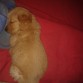 mi gordito durmiendo